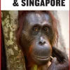 Turen går til Malaysia & Singapore (Bog, Hæftet, Dansk) af Ulla Lund