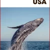 Turen går til Nordøstlige USA (Bog, Hæftet, Dansk) af Louise Kastrup Scheibel