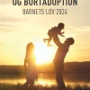 Tvangsfjernelse og bortadoption: Barnets lov 2024 (Bog, Hæftet, Dansk) af Advokaterne Martin Olsgaard