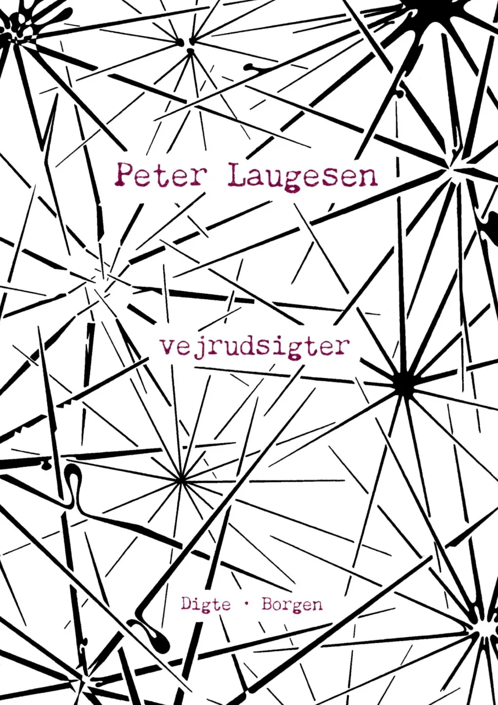 Vejrudsigter: Digte (Ebog, epub, Dansk) af Peter Laugesen