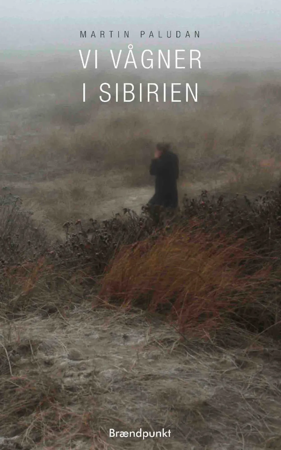 Vi vågner i Sibirien (Lydbog, zip_mp3, Dansk) af Martin Paludan