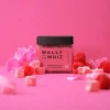Wally and Whiz – Hibiscus med hindbær, 140g (Lakrids)
