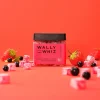 Wally and Whiz – Solbær med jordbær, 140g (Vingummi)