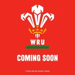 Welsh Rugby Union Square Calendar 2025 (Kalender, Calendar, Engelsk)